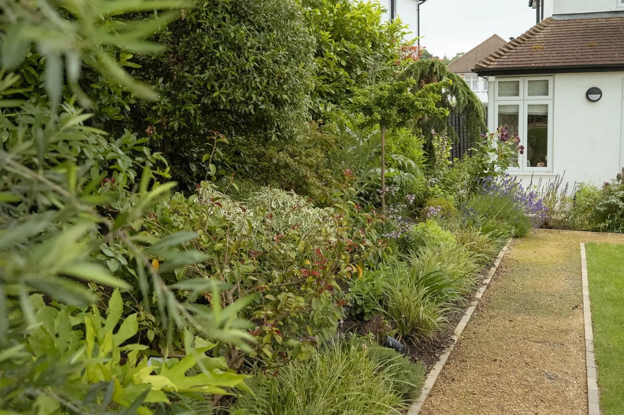 Contemporary English Garden