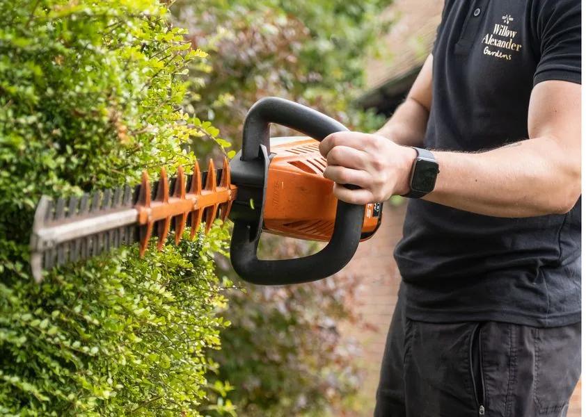 Mastering Hedge Trimming: Best Practices and Tips
