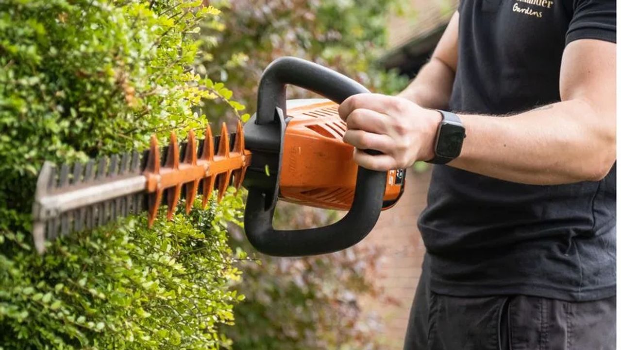 Mastering Hedge Trimming: Best Practices and Tips