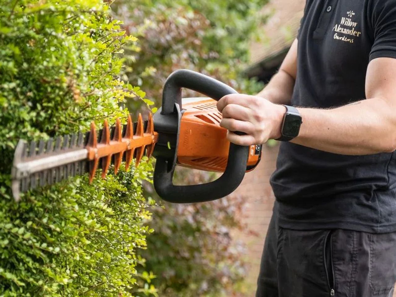 Mastering Hedge Trimming: Best Practices and Tips