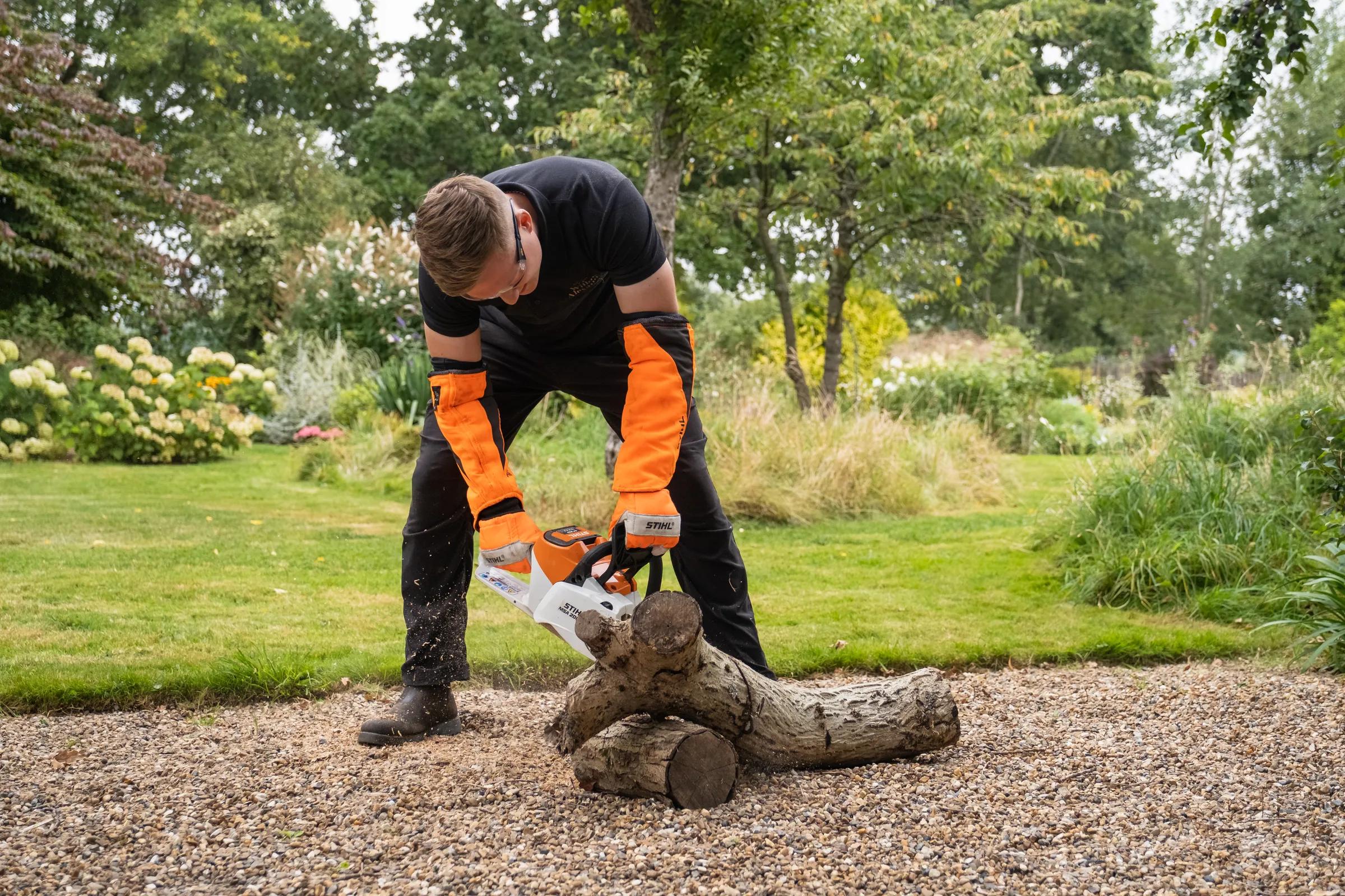 Tree Surgery gallery image 4