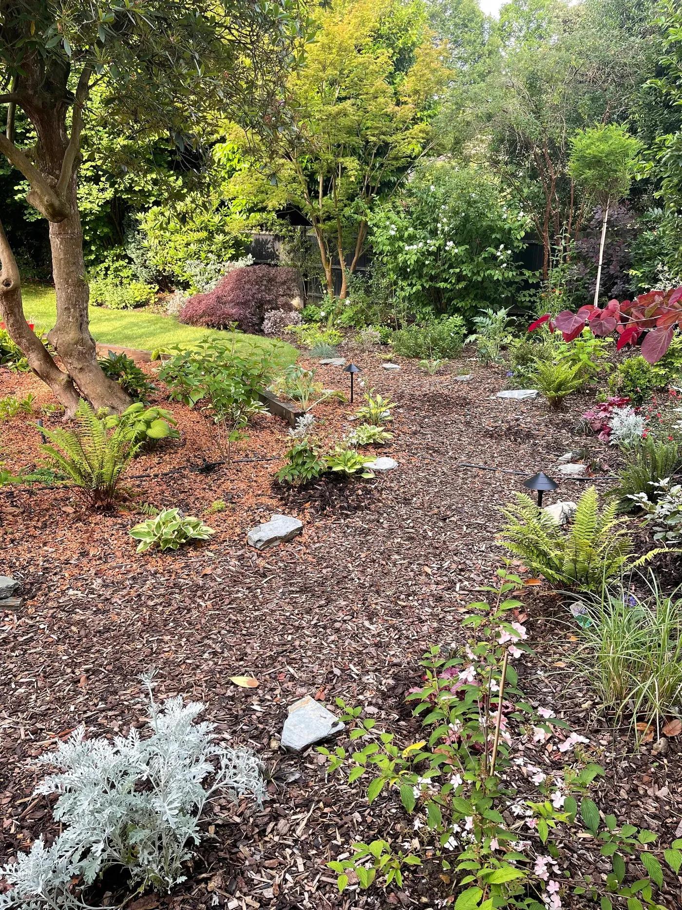 Woodland Garden