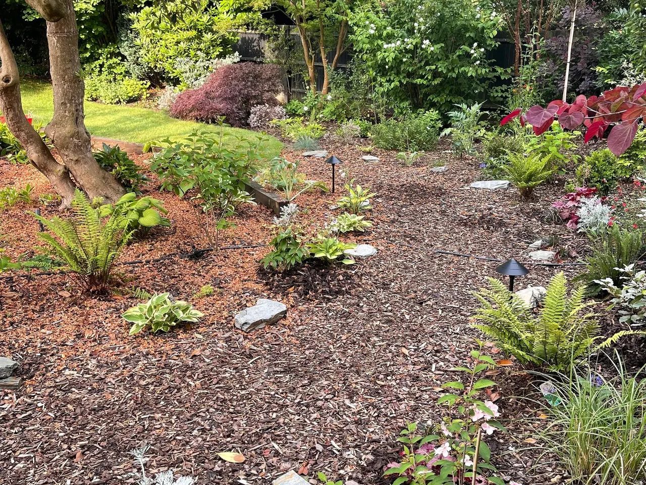 Woodland Garden