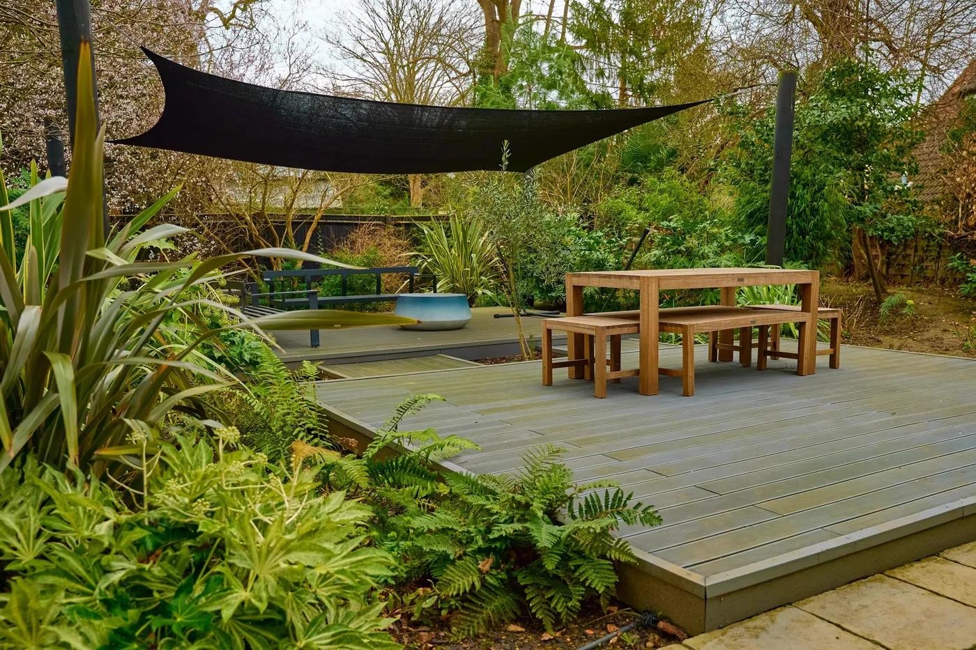 Tropical Garden
