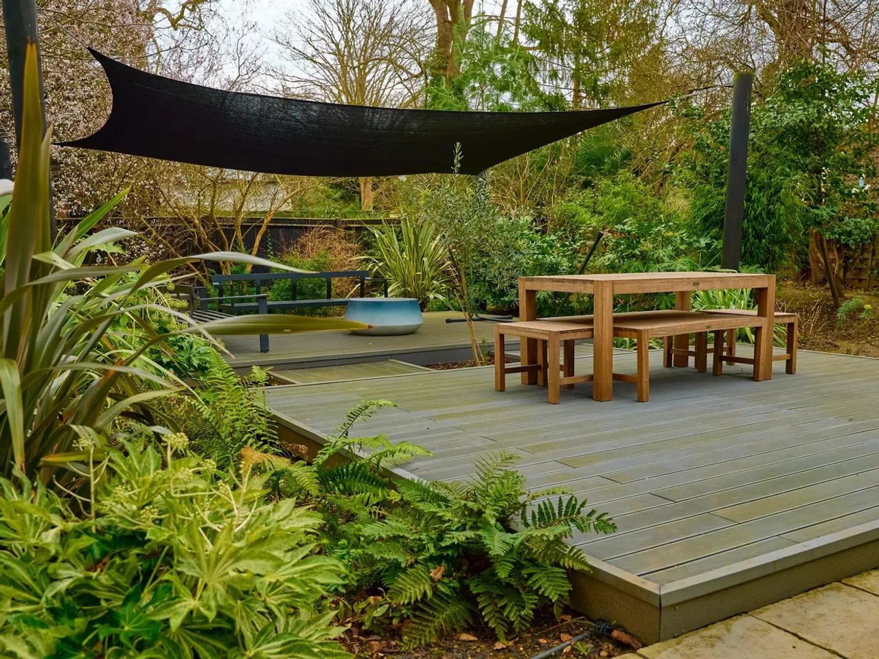 Tropical Garden