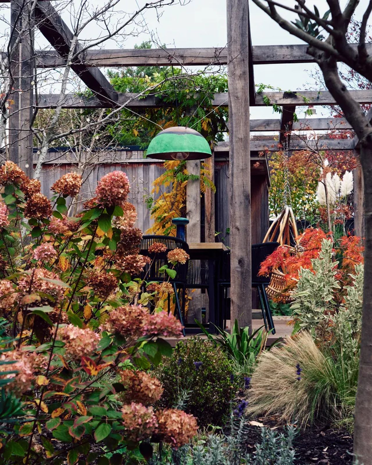 A weathered pergola with climbing planting