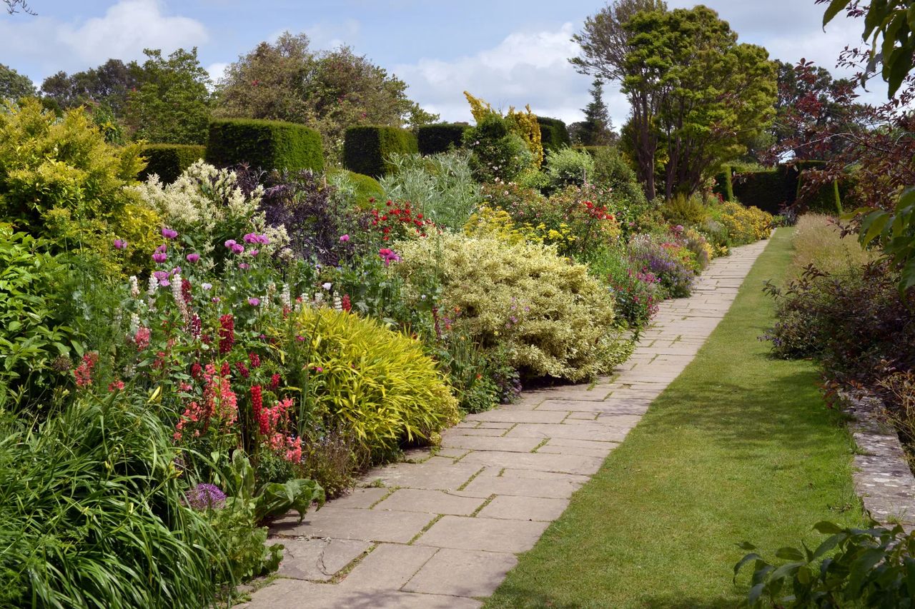 A designed herbaceous border running along a stone path, with mixed perennials and clipped evergreen accents