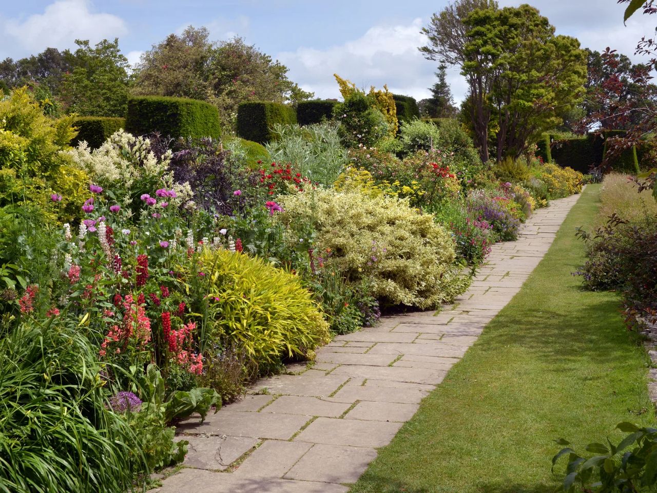 A designed herbaceous border running along a stone path, with mixed perennials and clipped evergreen accents