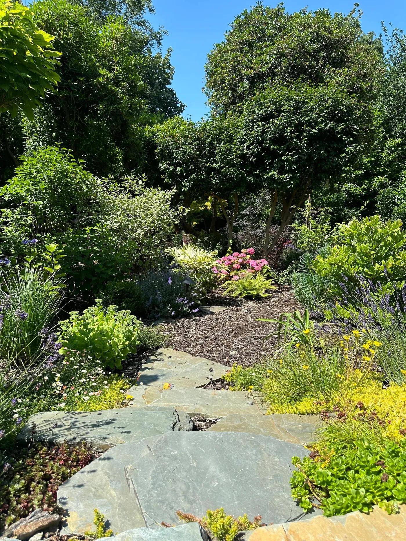 Woodland Garden