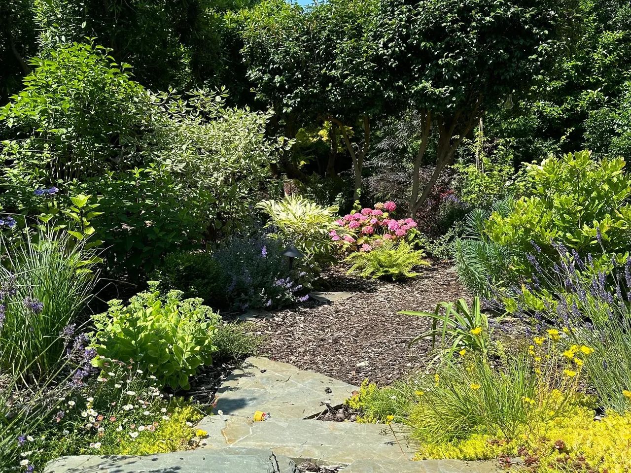 Woodland Garden