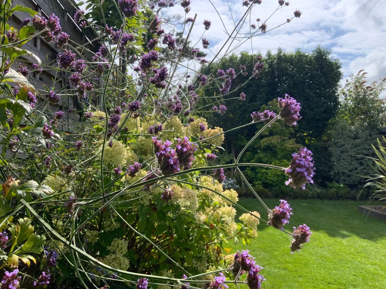 Family Garden