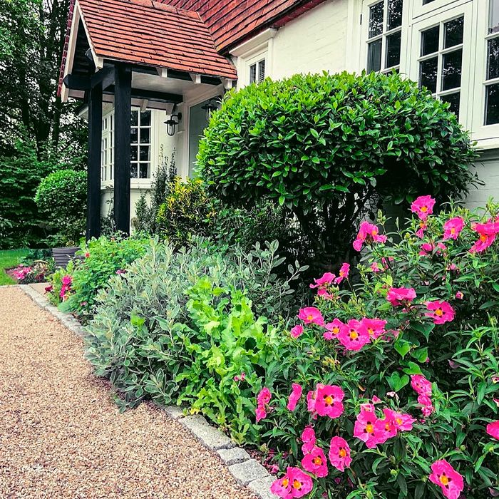English Cottage Garden, Sevenoaks