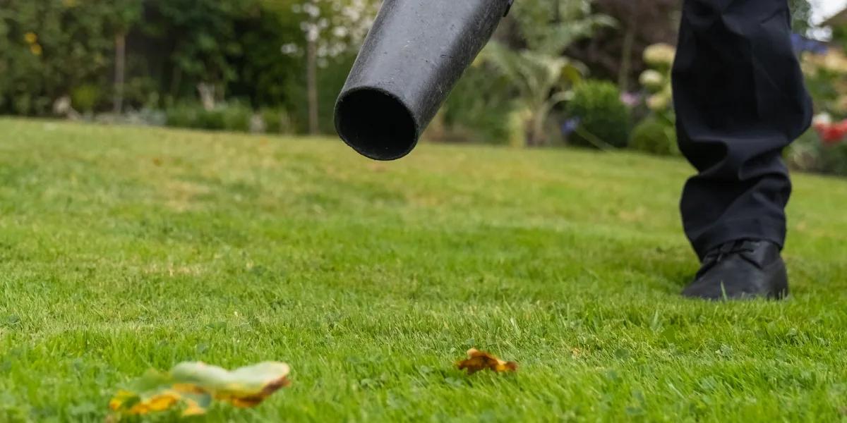 Leaf Collection and Protecting Your Winter Lawn