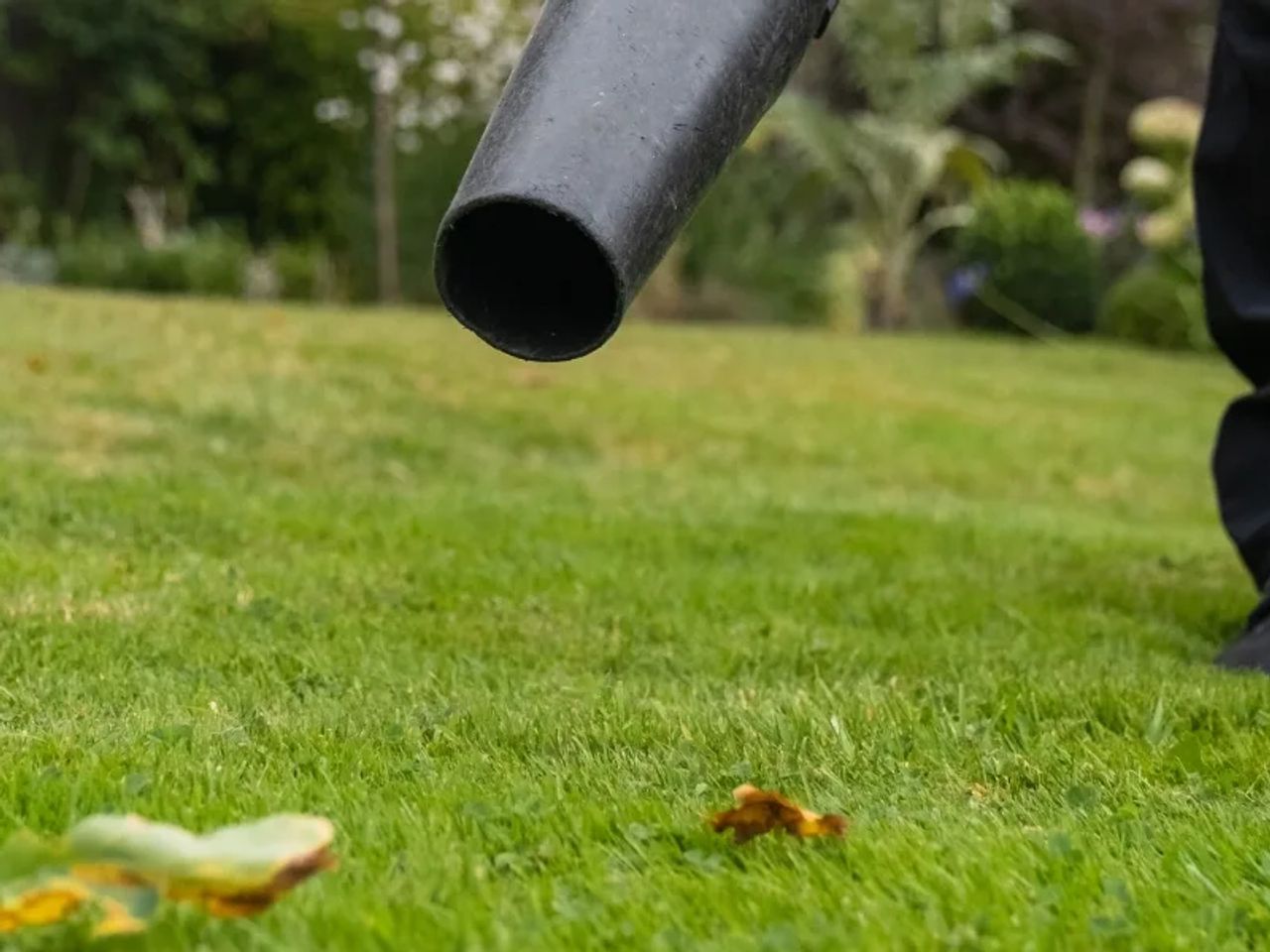 Leaf Collection and Protecting Your Winter Lawn