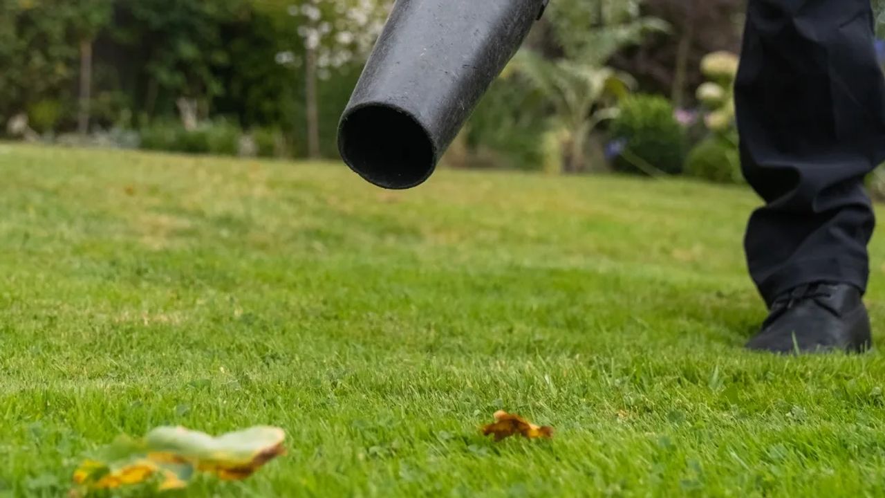 Leaf Collection and Protecting Your Winter Lawn
