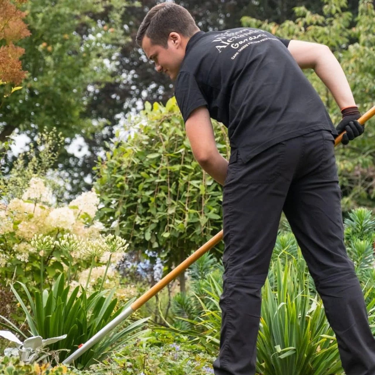 What Is the Difference Between a Gardener and a Landscaper? (A Clear Guide for Homeowners)
