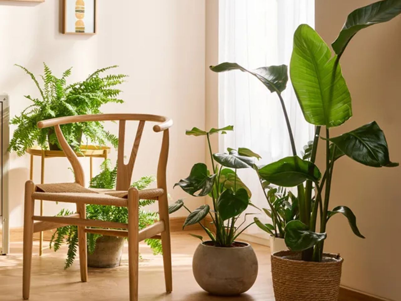 Are your houseplants looking a little worse for wear since the summer has retired?