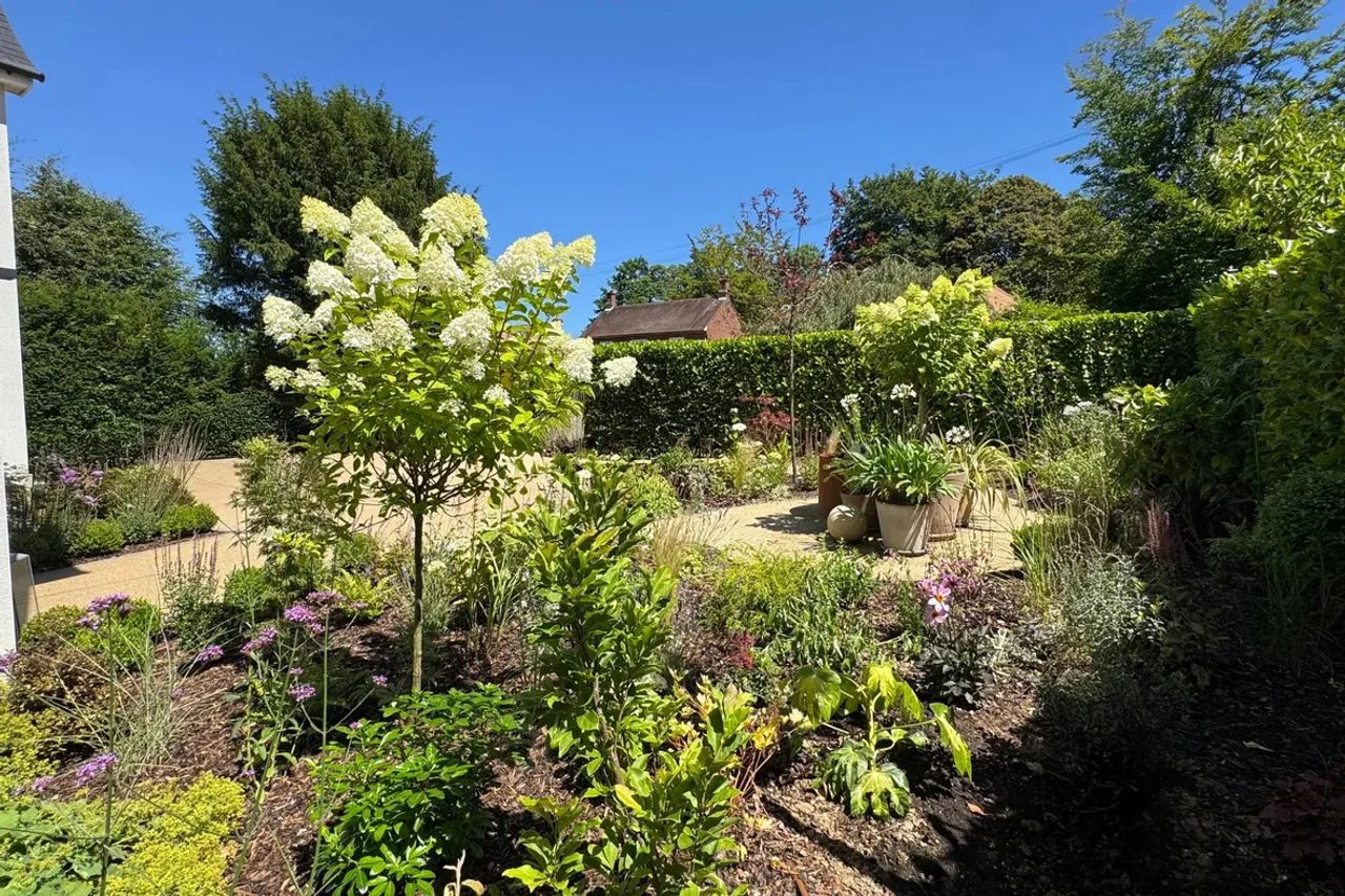 Front Garden