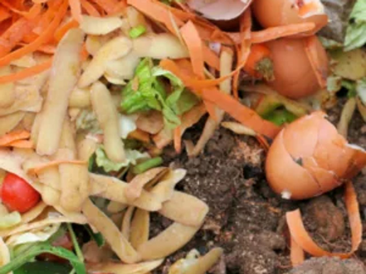 From Composting to Rainwater Harvesting: Easy Ways to Create a Healthier Garden and Reduce Your Carbon Footprint