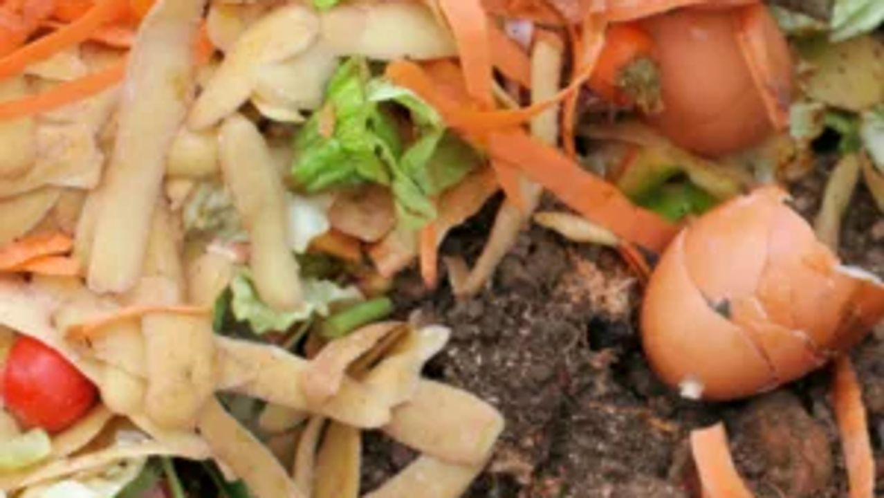 From Composting to Rainwater Harvesting: Easy Ways to Create a Healthier Garden and Reduce Your Carbon Footprint