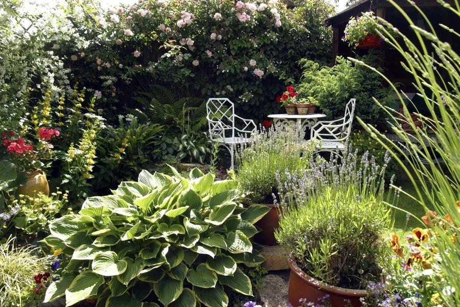 The Enduring Charm of Cottage Gardens
