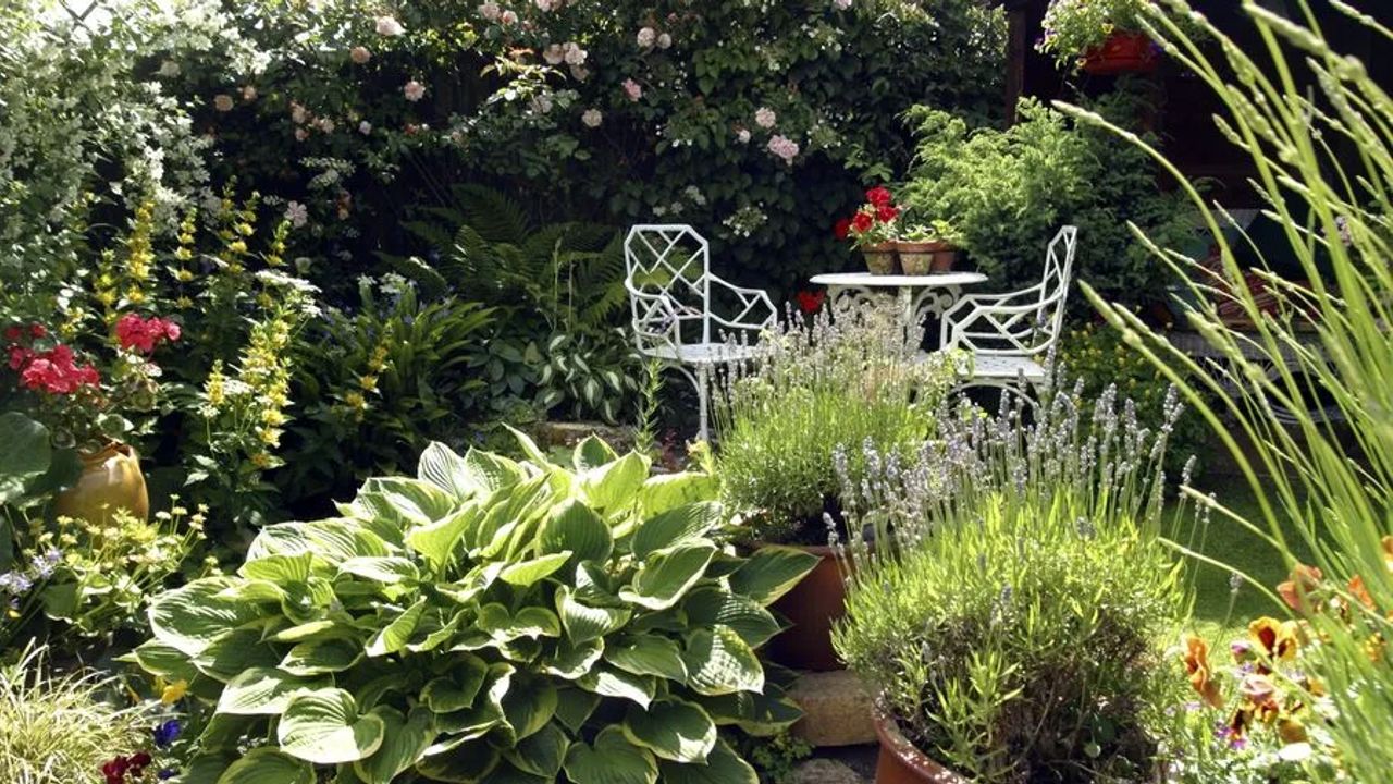 The Enduring Charm of Cottage Gardens
