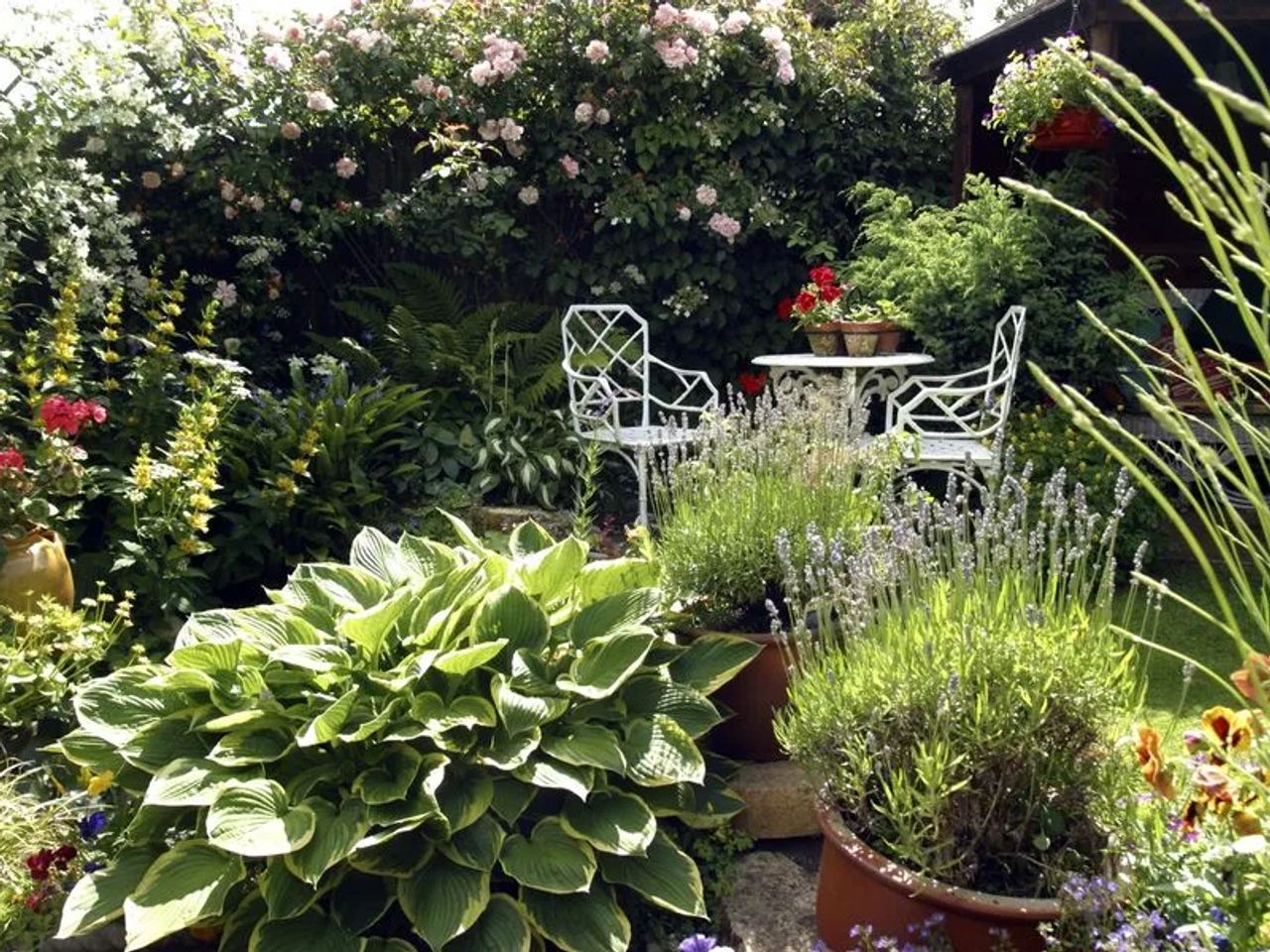 The Enduring Charm of Cottage Gardens
