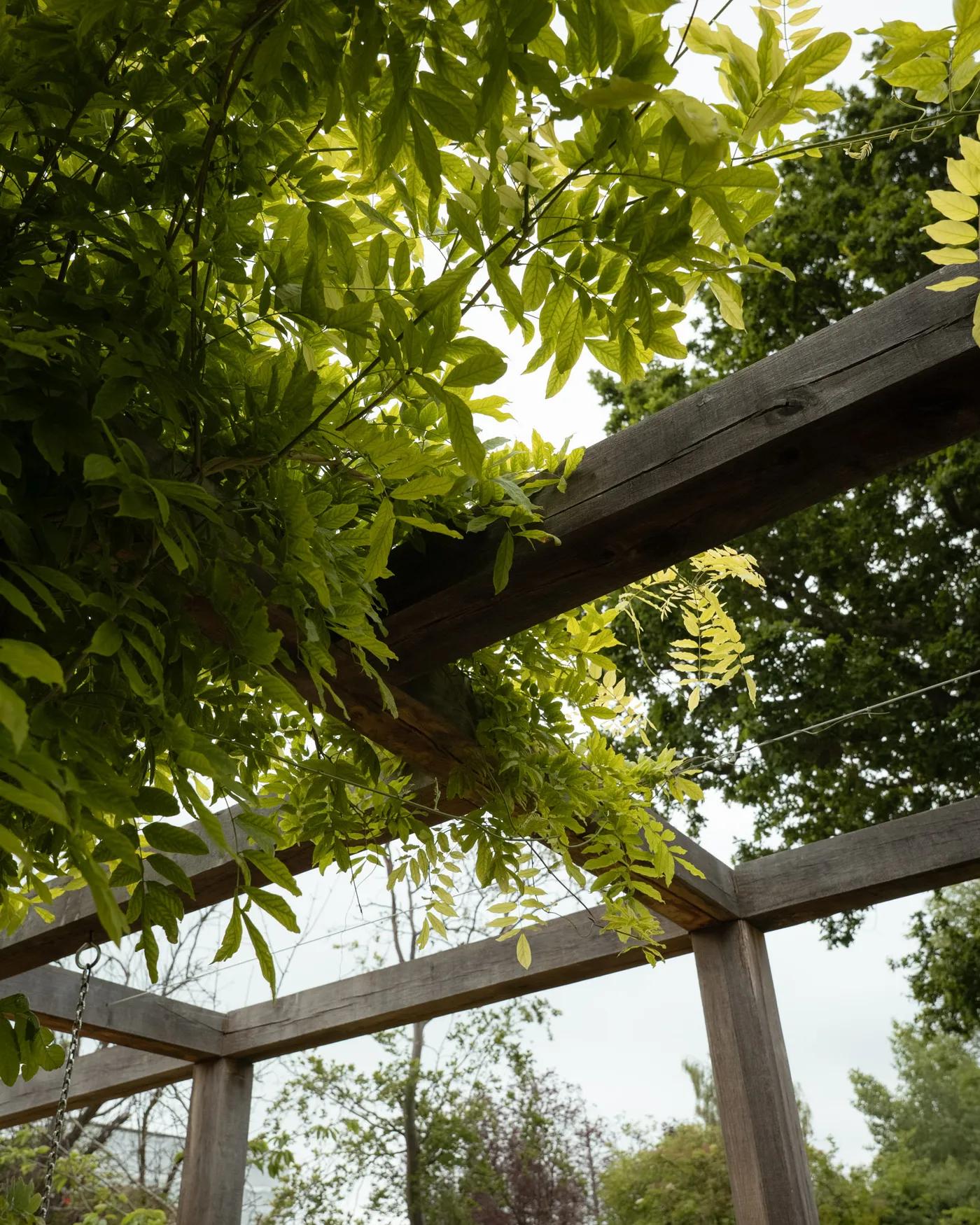Pergola material — timber frame