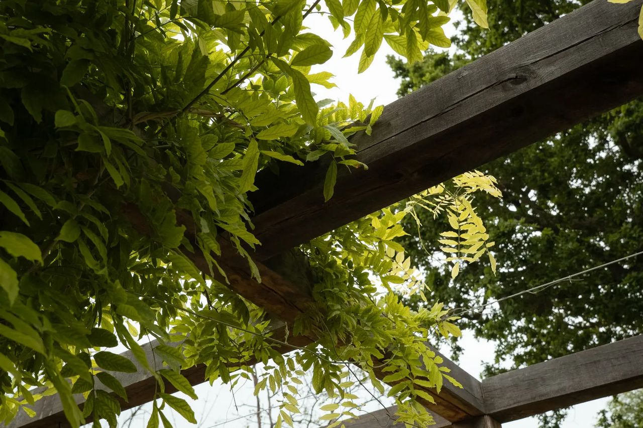 Pergola material — timber frame