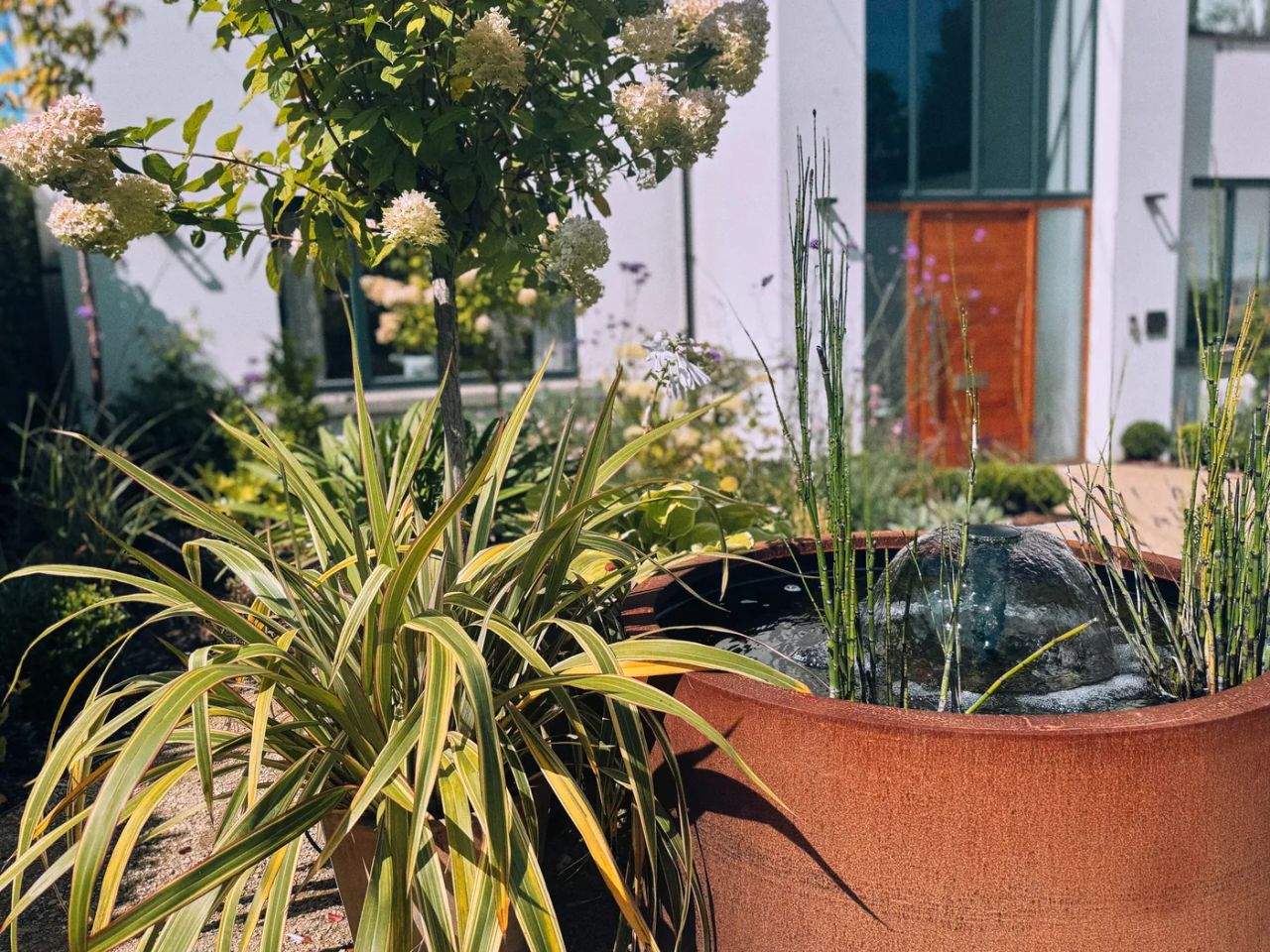 Front Garden
