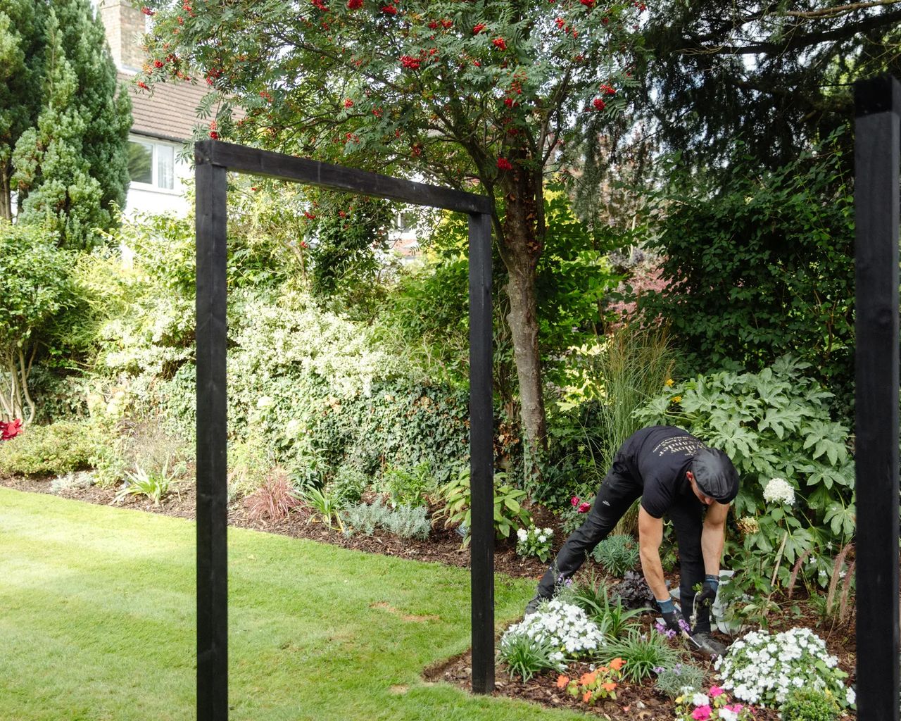 Planting