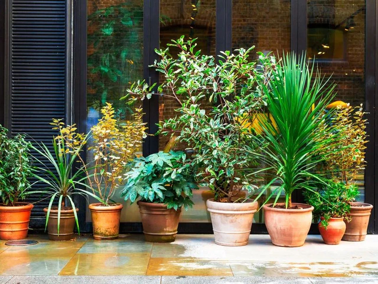 The Charm of London Courtyard Gardens