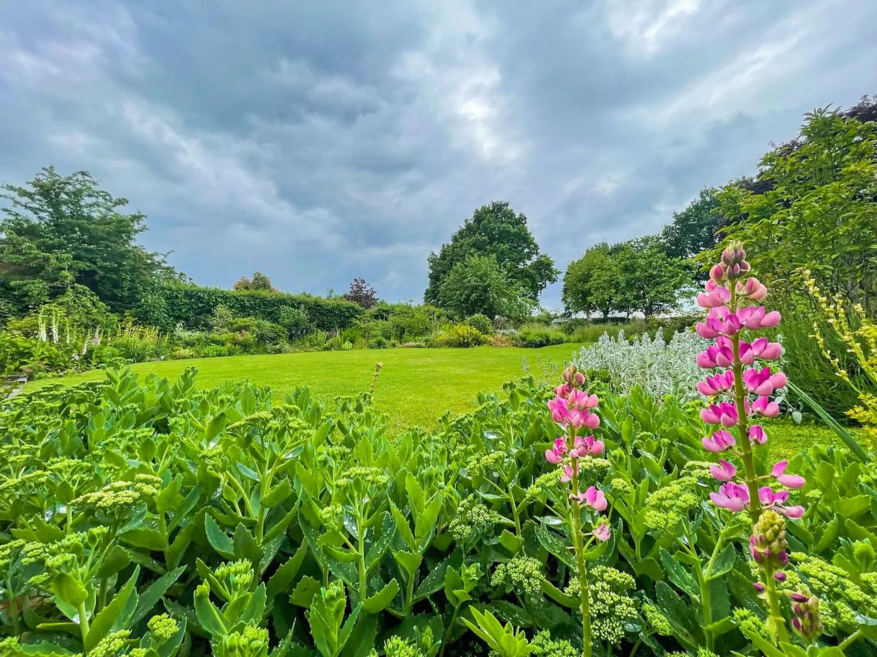 English Cottage Garden