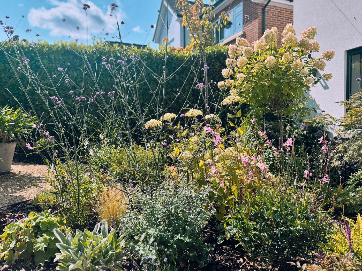 Front Garden