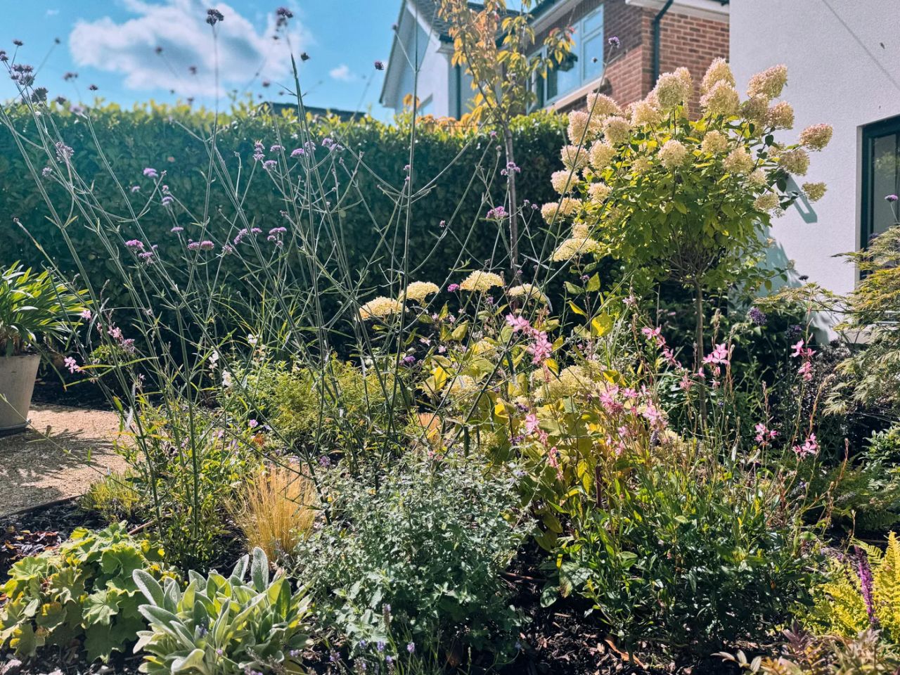 Front Garden