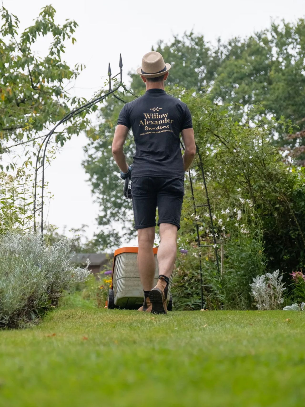 A lawn we care for