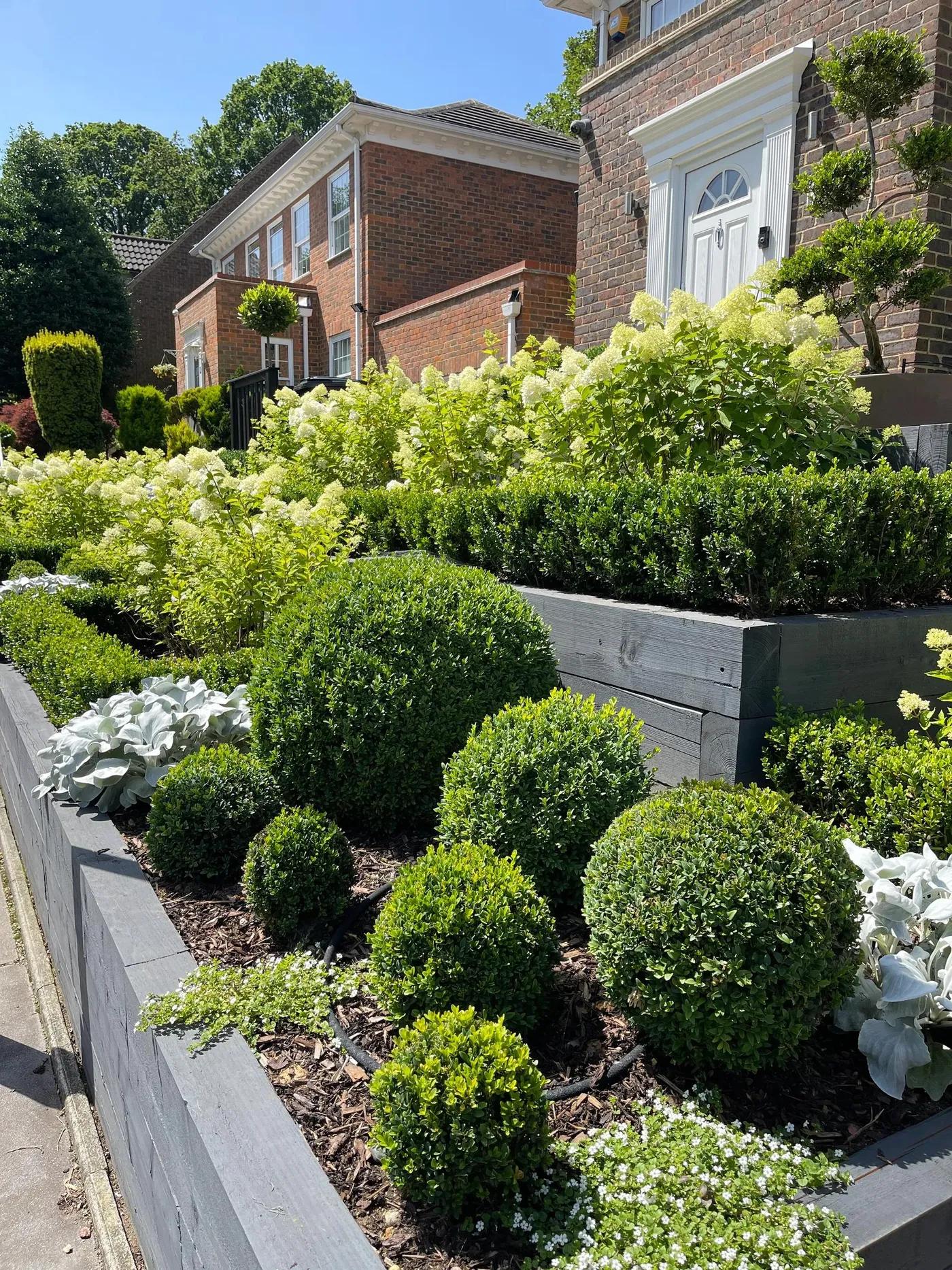 Front Garden