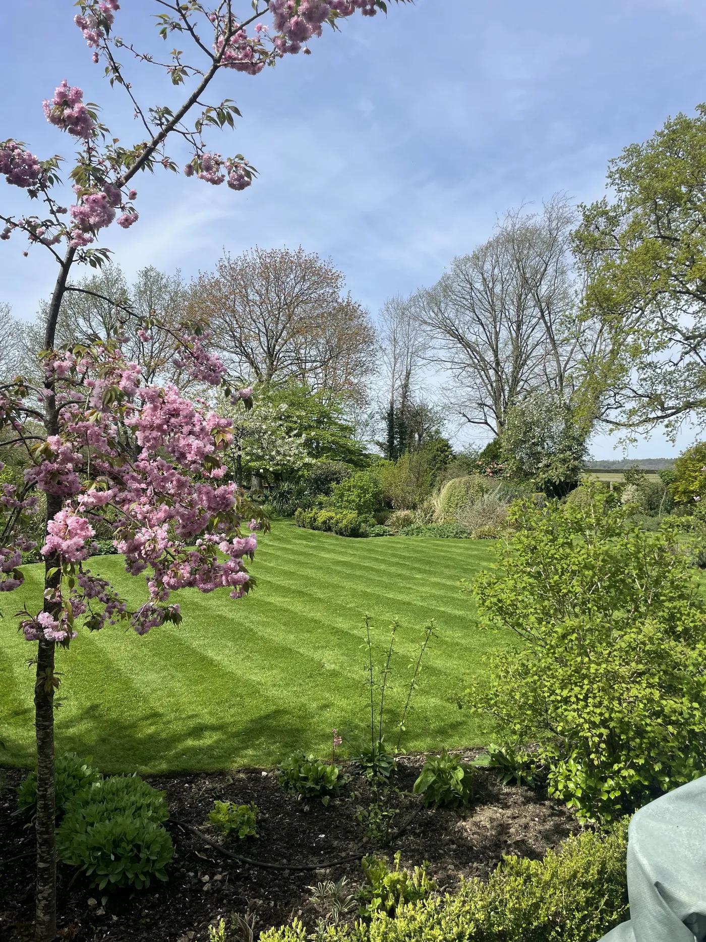 English Cottage Garden