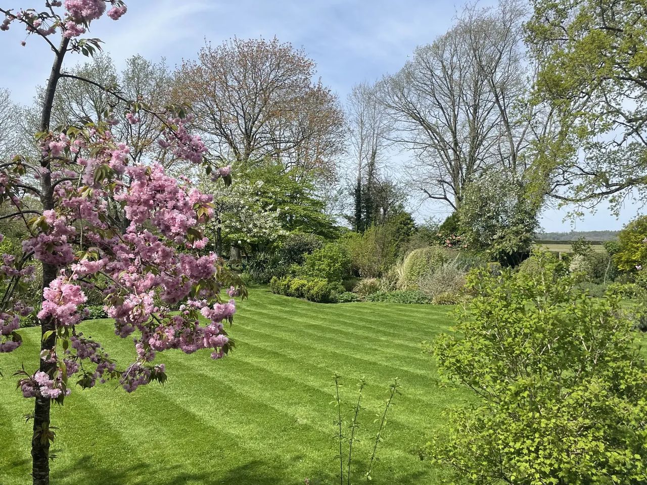 English Cottage Garden