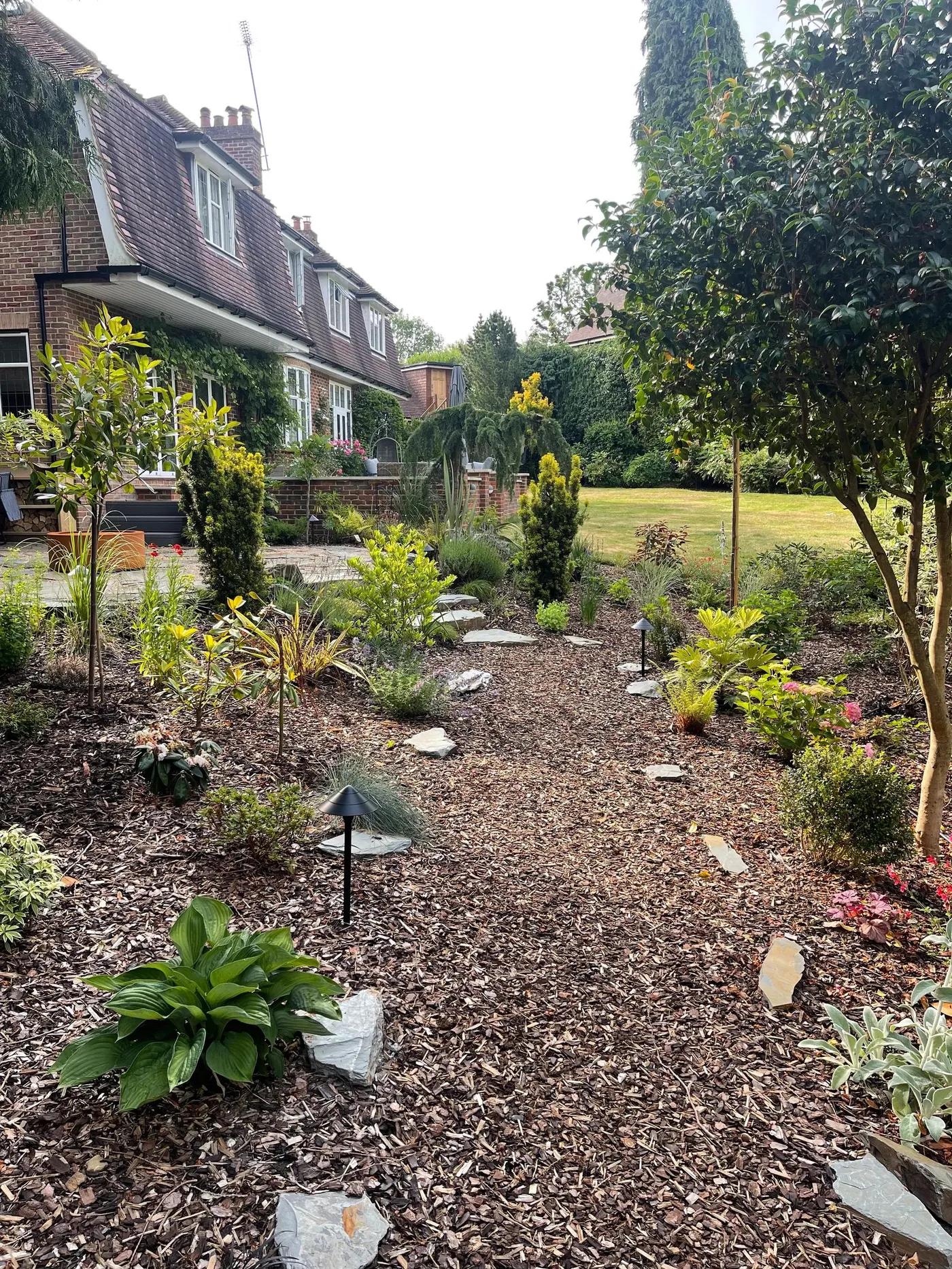 Woodland Garden