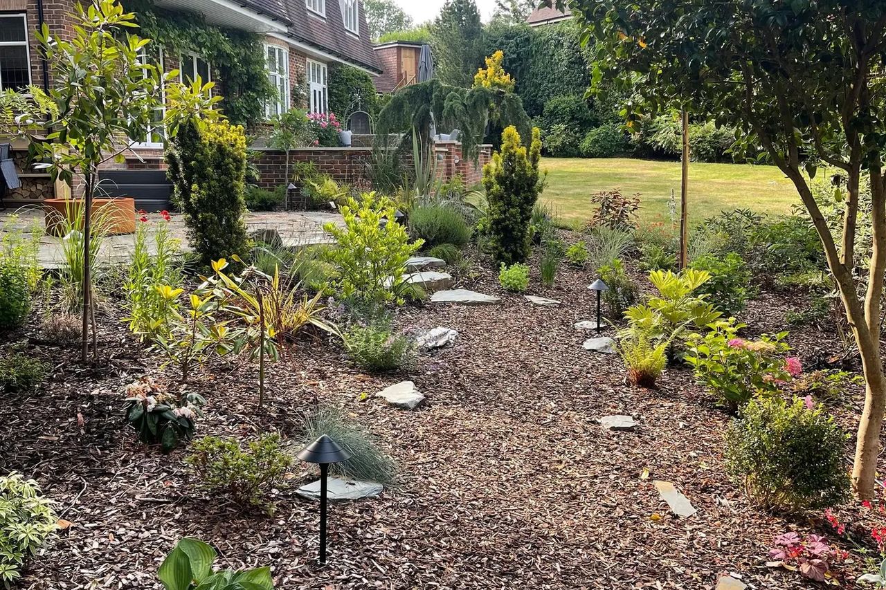 Woodland Garden