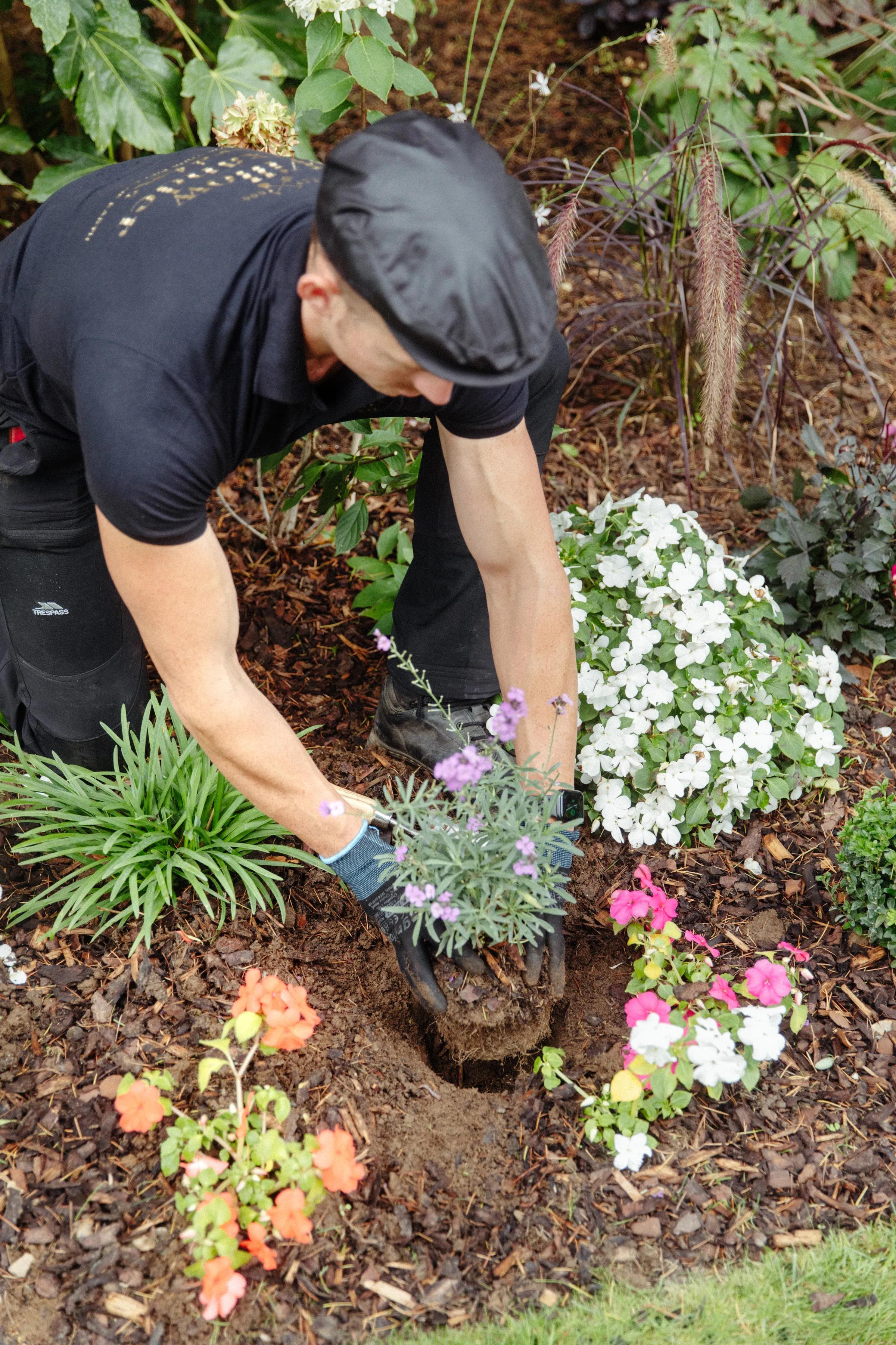 Planting gallery image 2