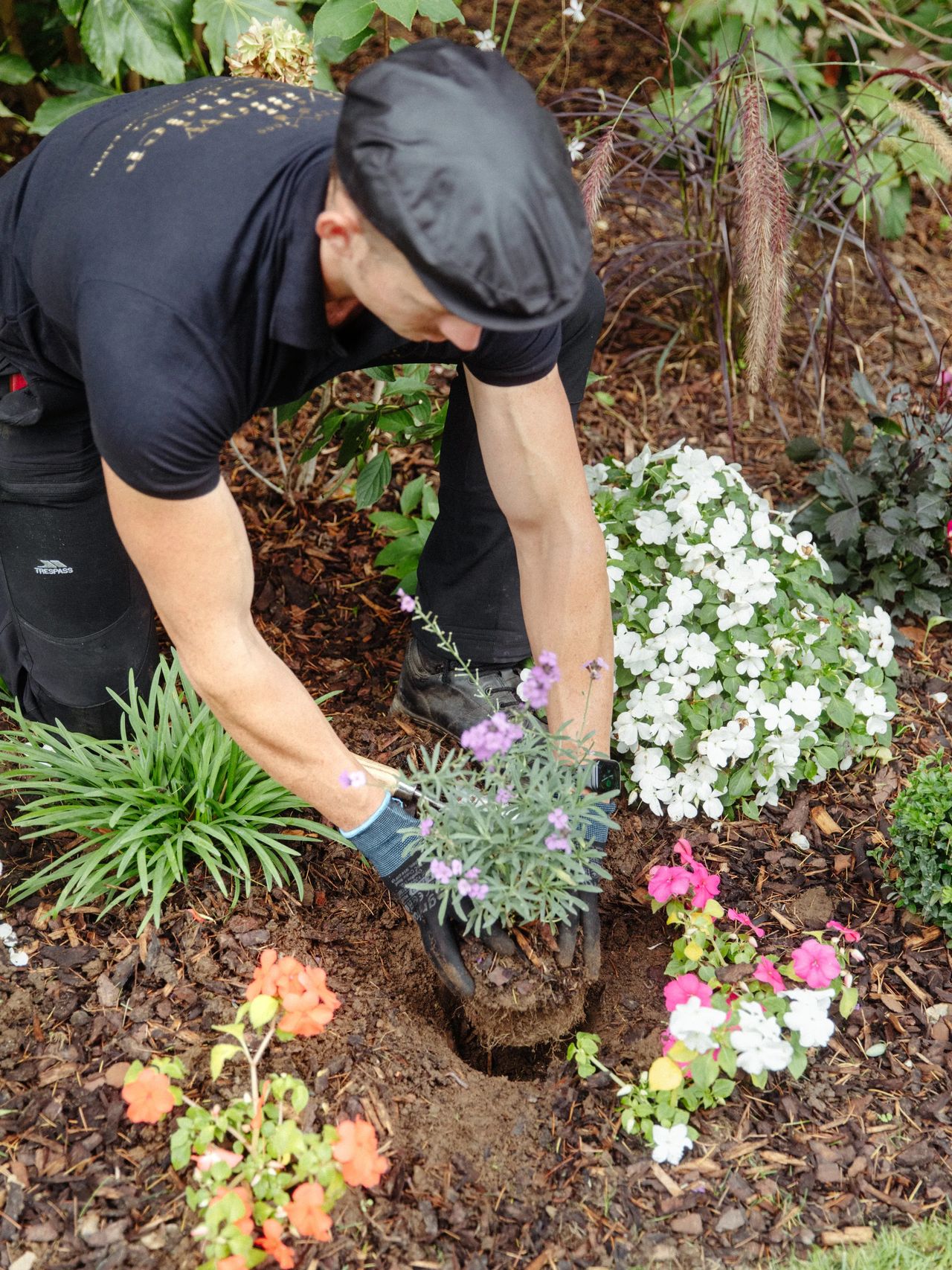 Planting gallery image 2