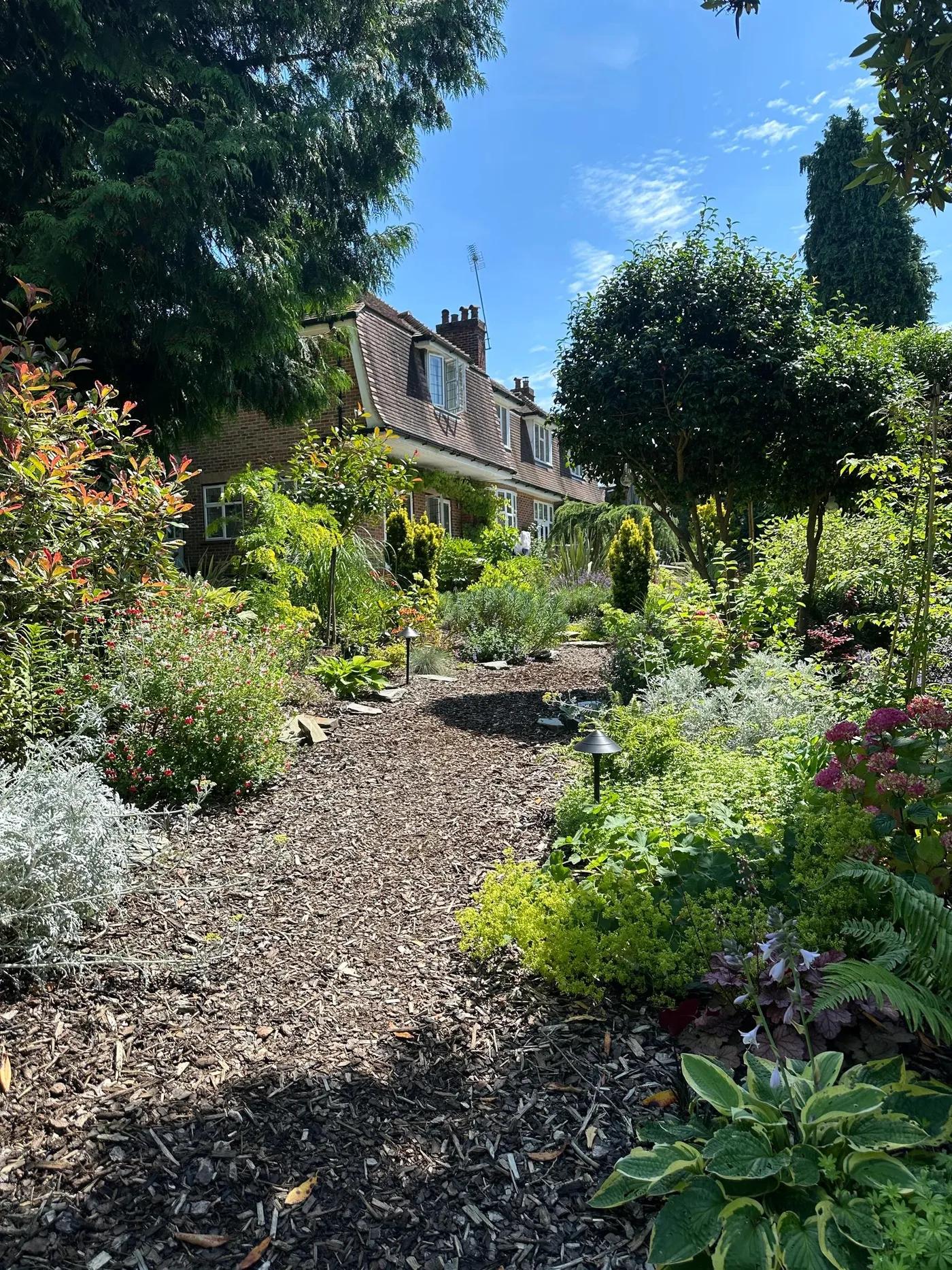 Woodland Garden