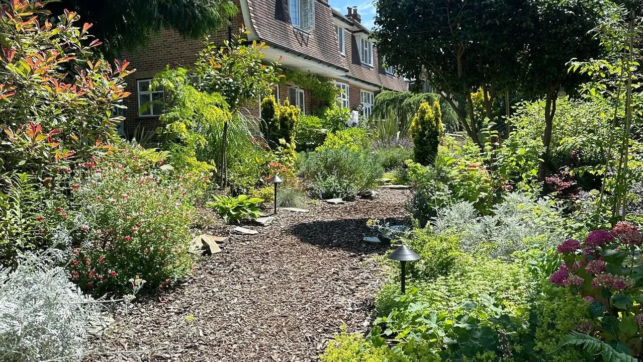 Woodland Garden