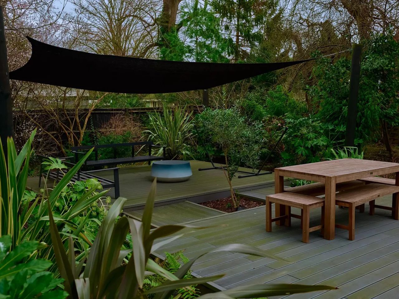 Tropical Garden
