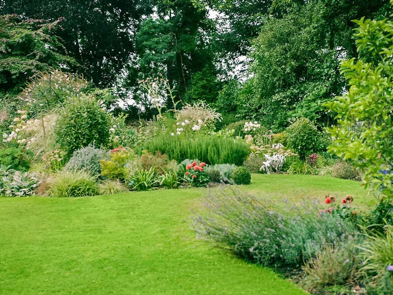 English Cottage Garden