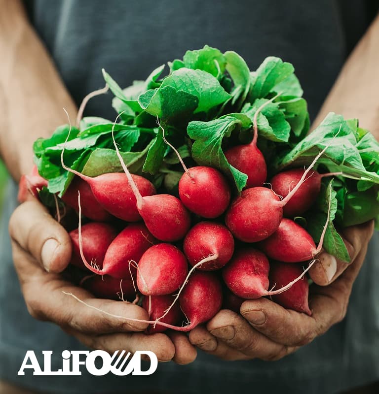Alifood