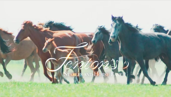 Fenton's Stables and Horse Ranch where the horses are hung like you.