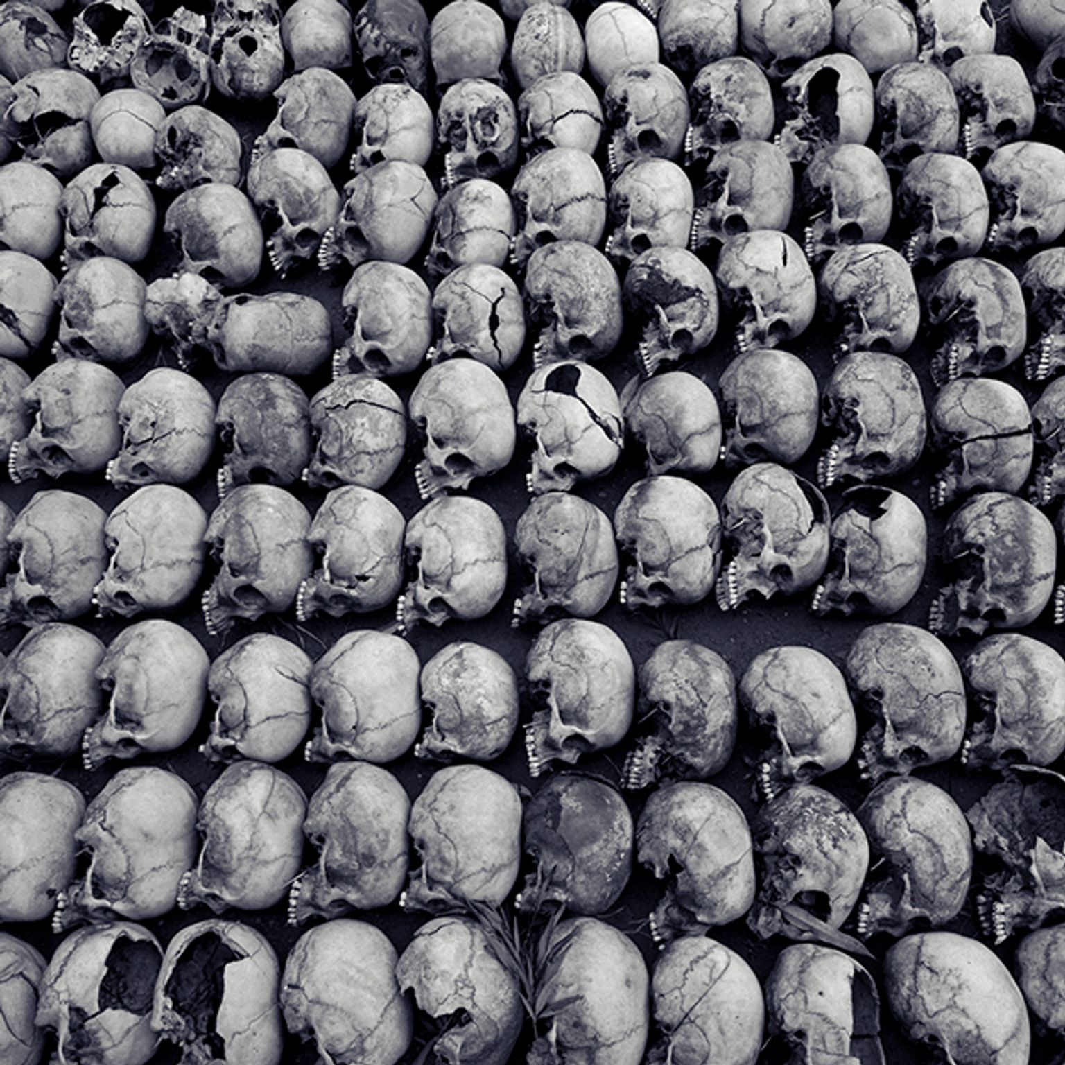 image-0487517e865fc0781809af63c6825a2833db8ec8-630x630-jpg